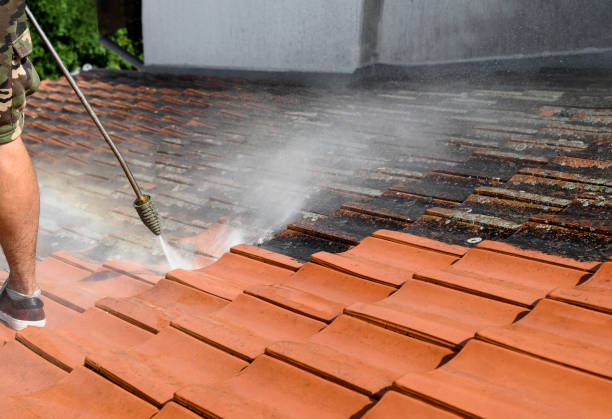 Best Best Pressure Washing Companies  in Brooklet, GA