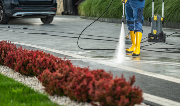 Best Commercial Building Pressure Washing  in Brooklet, GA